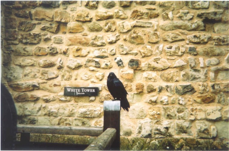 21a